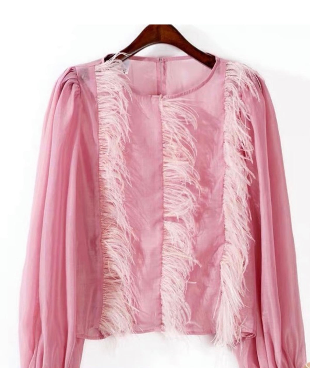 Feathery Pink Blouse