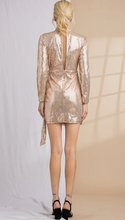 Load image into Gallery viewer, Rose Gold Disco Dress
